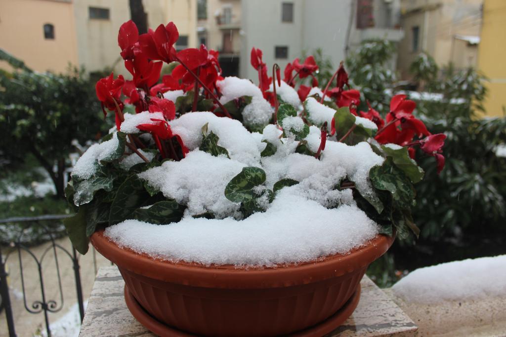 Raineri 3* Giardini-Naxos